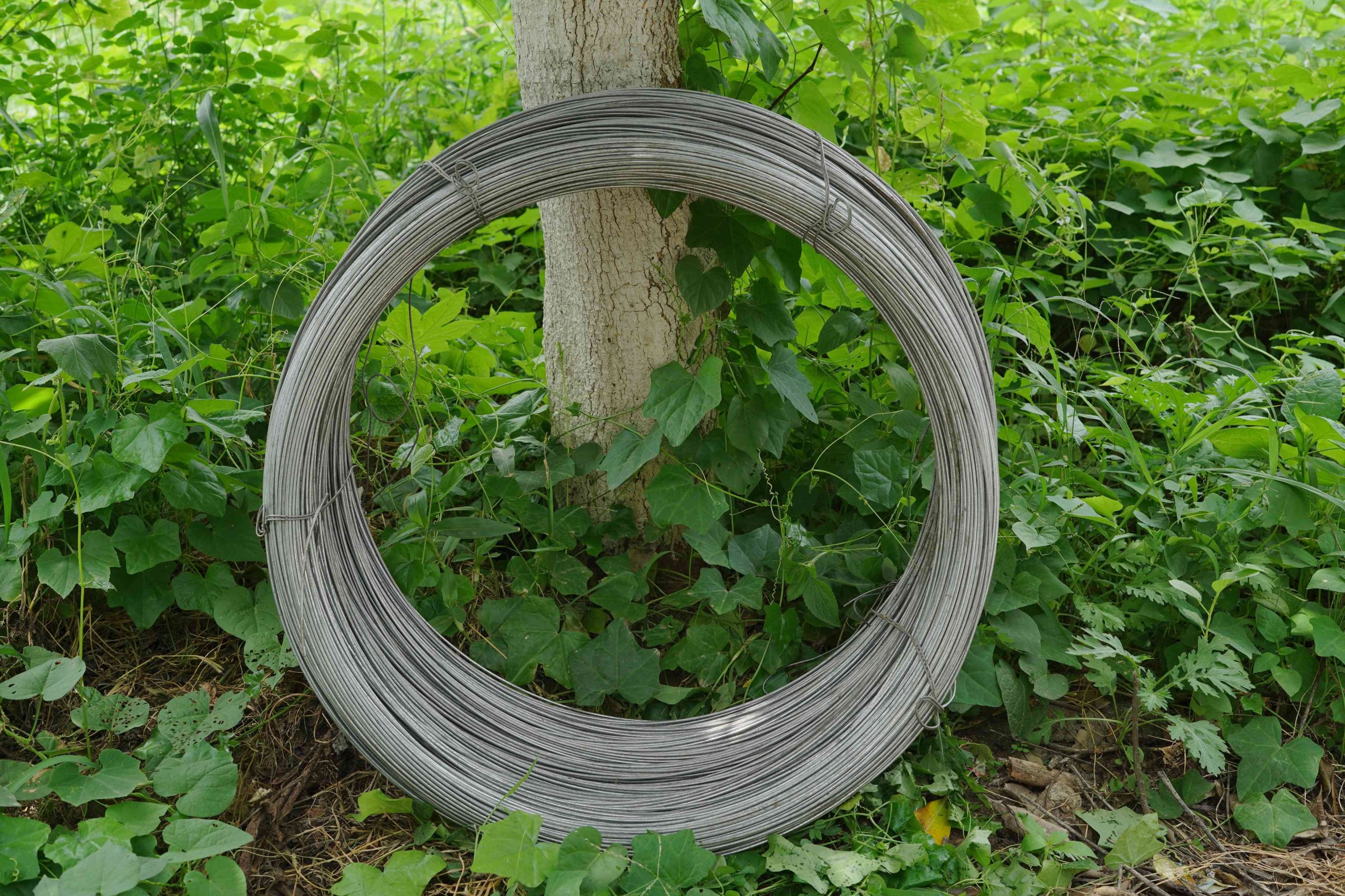 GI WIRE TATA (6)