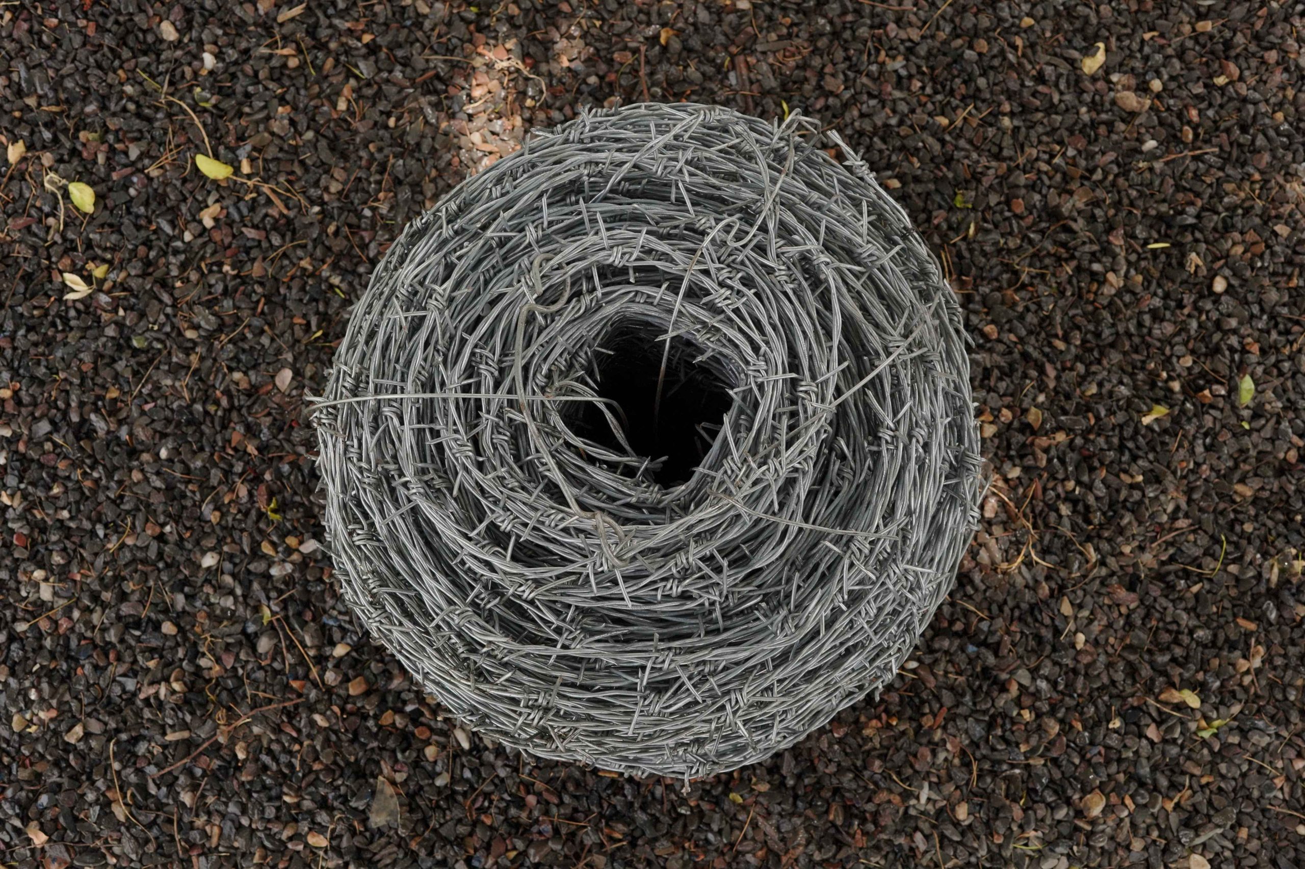 barbed wire fencing (4)