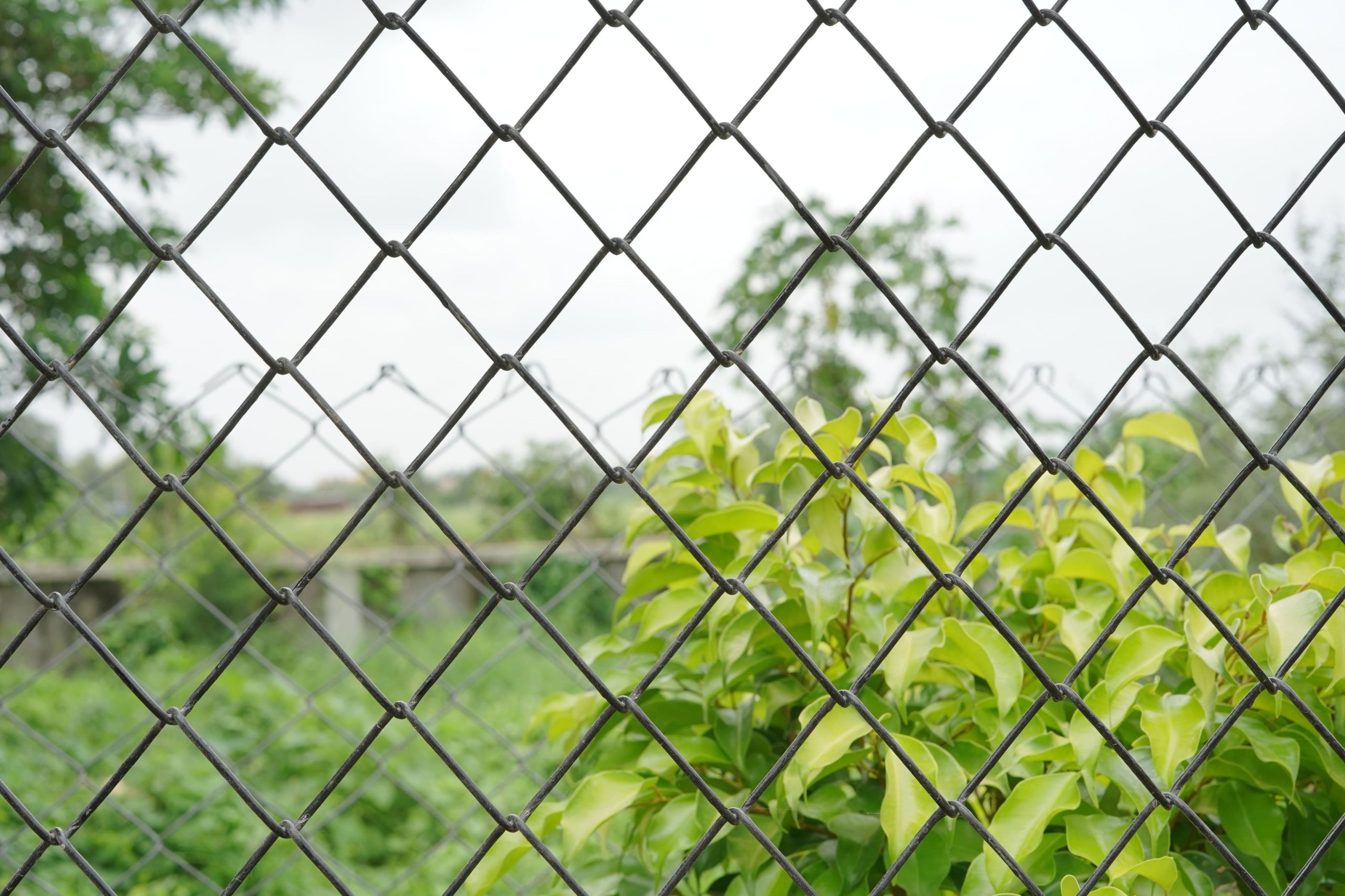 chain link fencing (3)