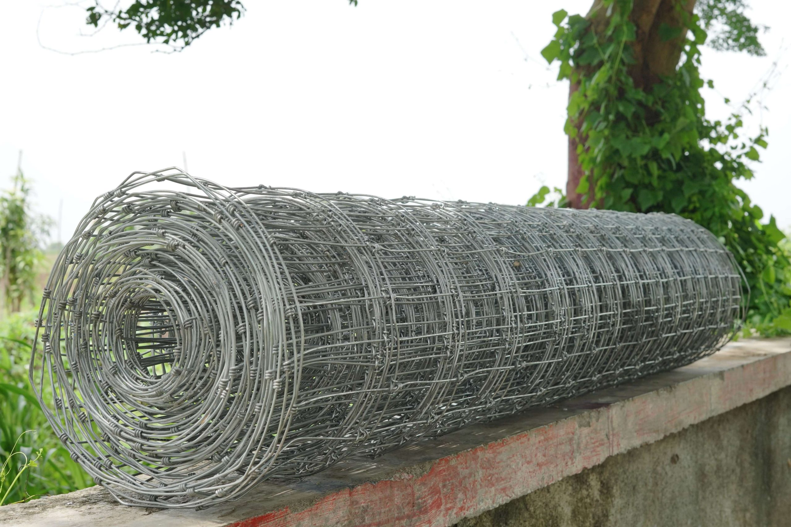 tata knotted fence (2)