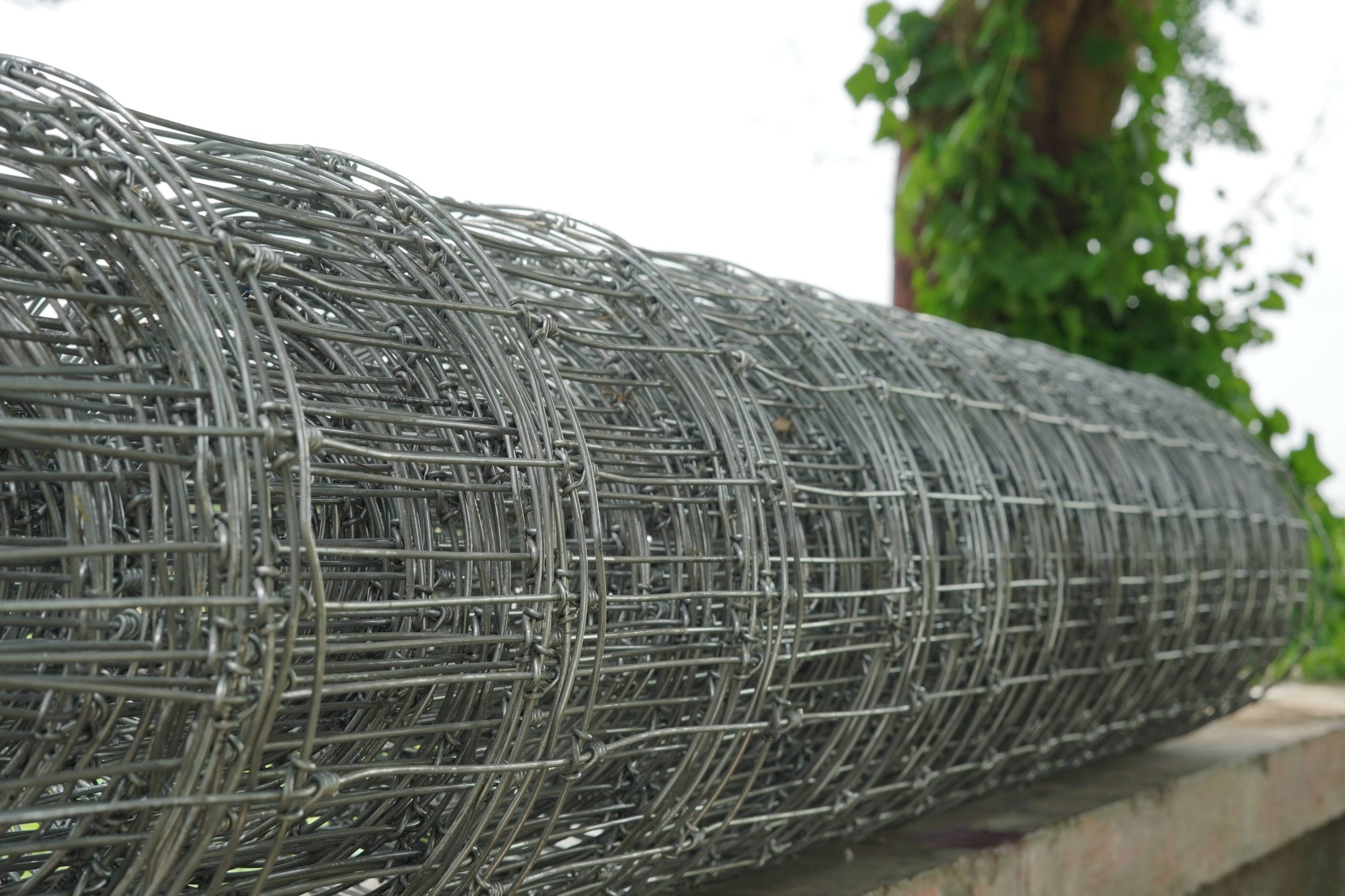 tata knotted fence (3)